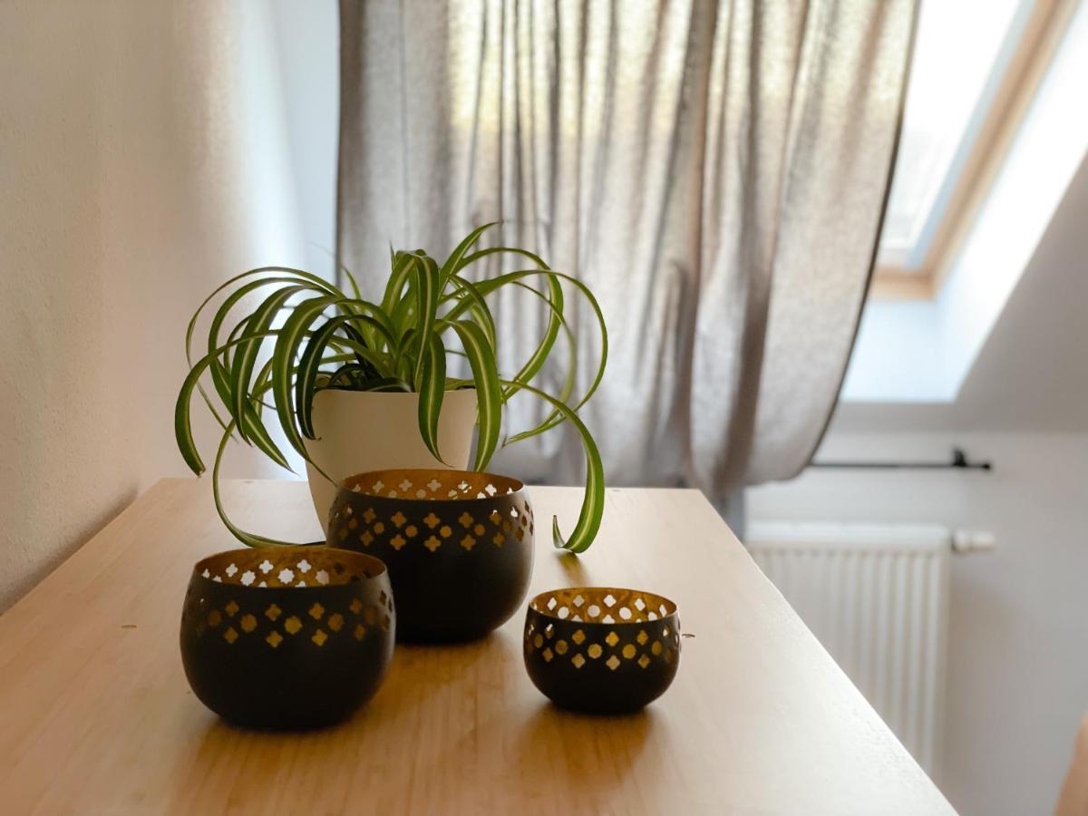 Apartment Hintermoos